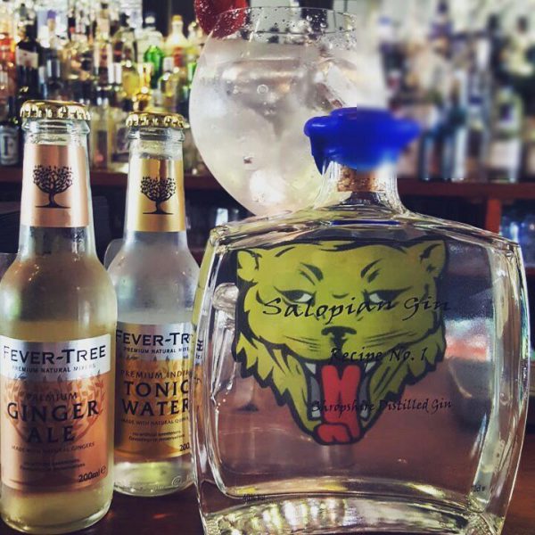 Salopian Gin - Image 2