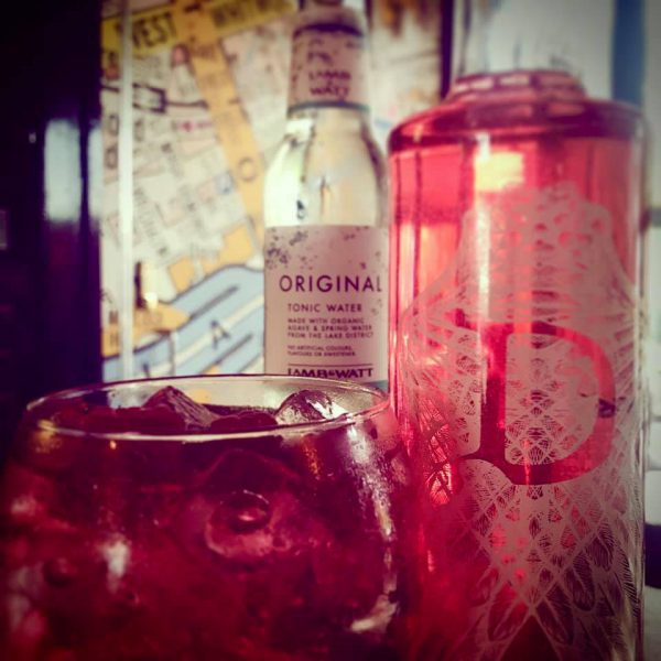 Divine Gin Raspberry