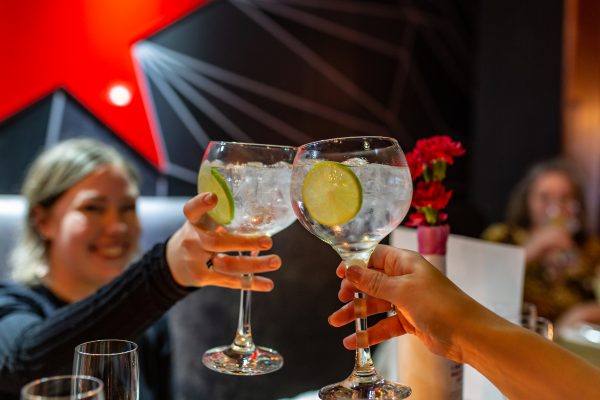 Atlas Bar Gin Goblets X4 - Image 3